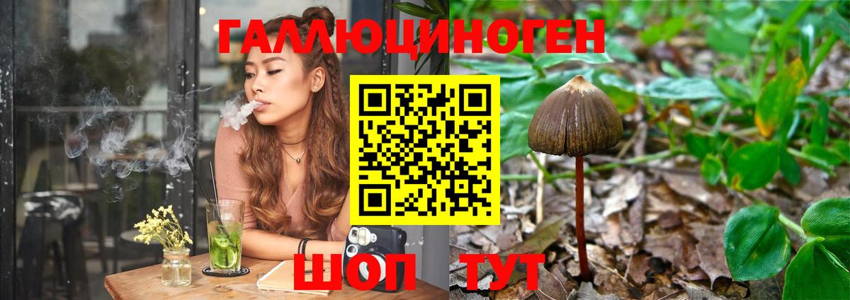Галлюциногенные грибы мухоморы  Псилоцибиновые грибы MAGIC MUSHROOMS  Карабулак  Вход с VPN 